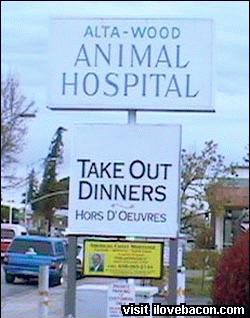 Állatkórház